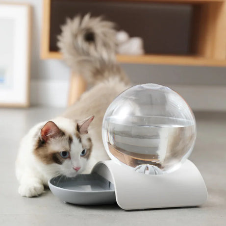  Automatic Fountain Bubble Drinker for Cats 