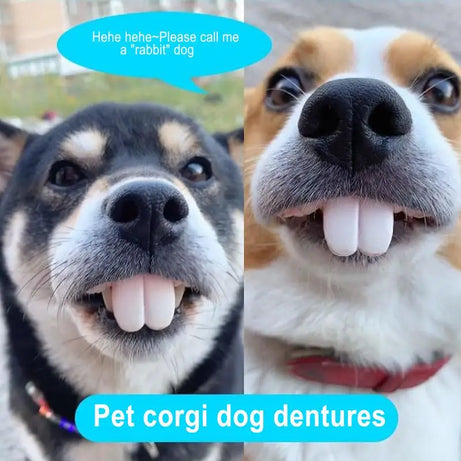 Funny Fake Teeth for Dog Dentures 