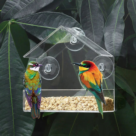 Window Bird Feeder 