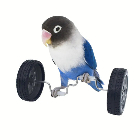 Balance Car Birds 