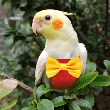 Bird Parrot Diaper with Bowtie 