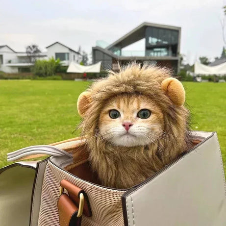 Cute Lion Mane Wig Cosplay 