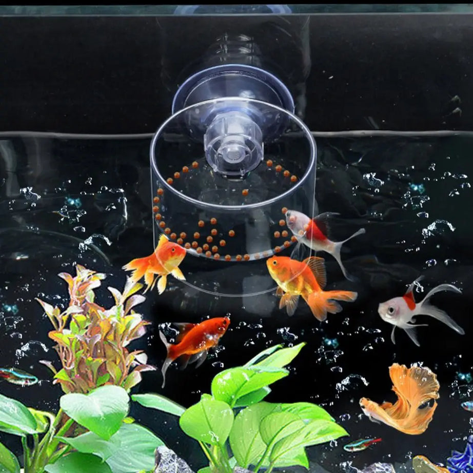 Acrylic Aquarium Feeder Ring Dish 