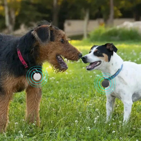 Smart GPS Trackers  Pets Dog and Cat